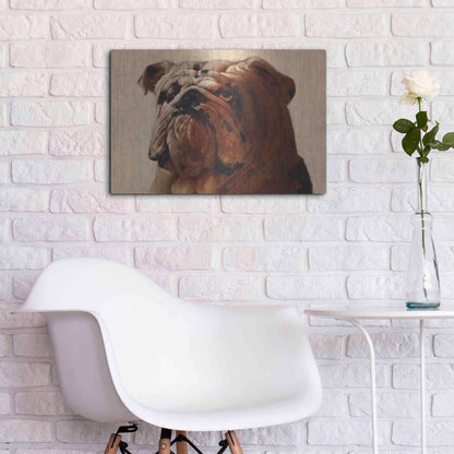 Luxe Metal Art 'Bulldog' by Thomas Fluharty, Metal Wall Art,24x16