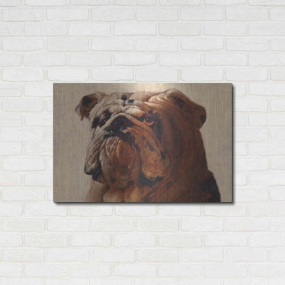 Luxe Metal Art 'Bulldog' by Thomas Fluharty, Metal Wall Art,36x24