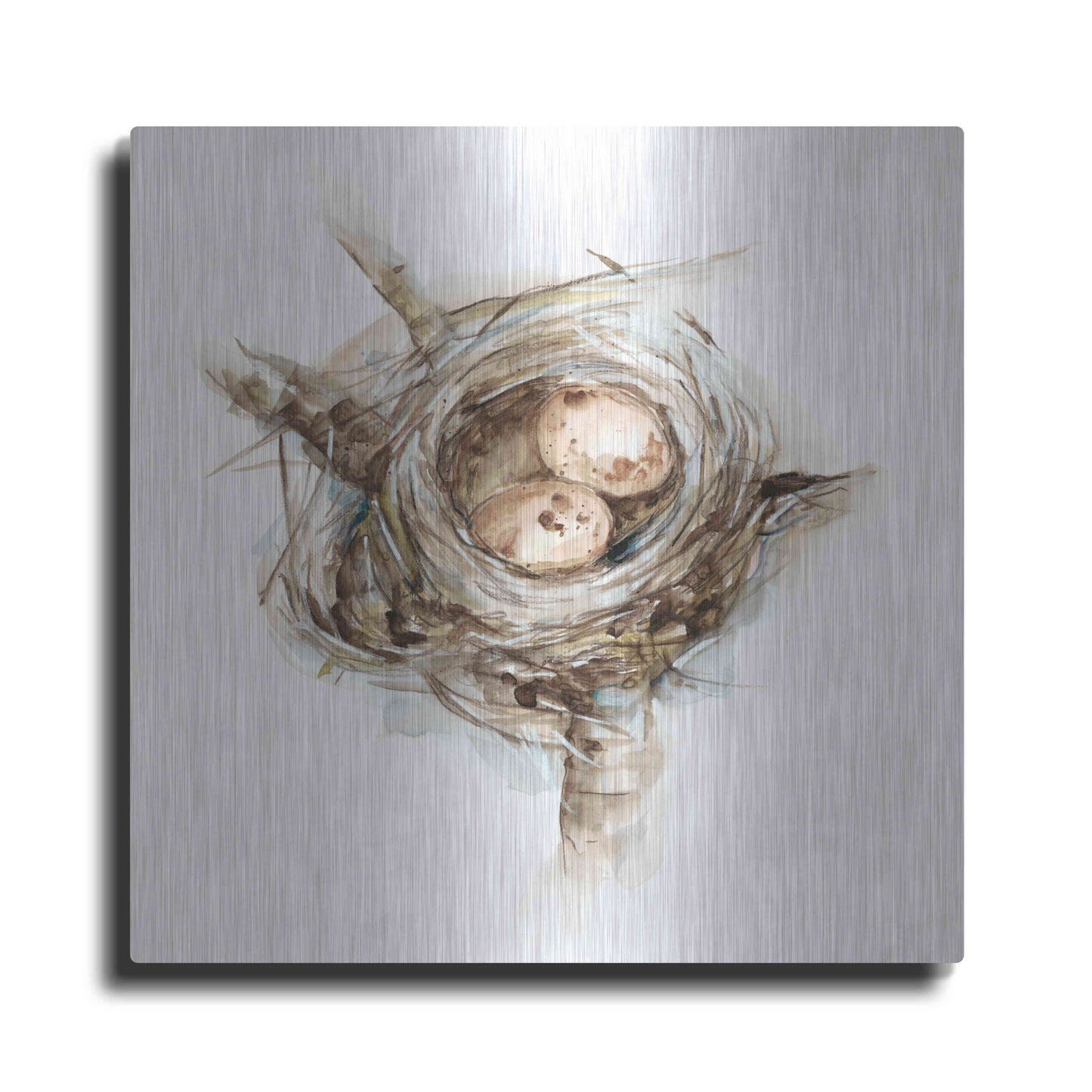 'Bird Nest Study I' by Ethan Harper, Metal Wall Art