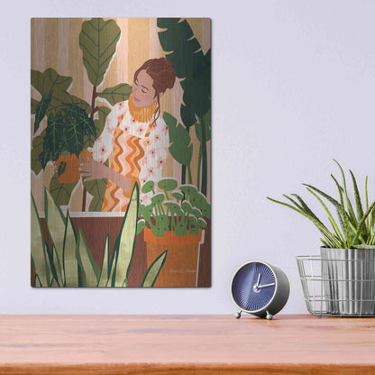 Luxe Metal Art 'A Balanced Self I' by Megan Gallagher, Metal Wall Art,12x16