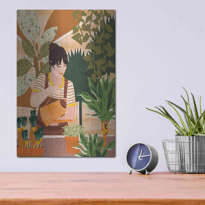 Luxe Metal Art 'A Balanced Self II' by Megan Gallagher, Metal Wall Art,12x16