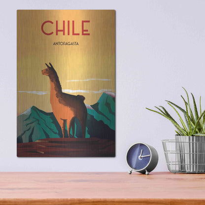 Luxe Metal Art 'Chile' by Omar Escalante, Metal Wall Art,12x16