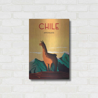 Luxe Metal Art 'Chile' by Omar Escalante, Metal Wall Art,16x24
