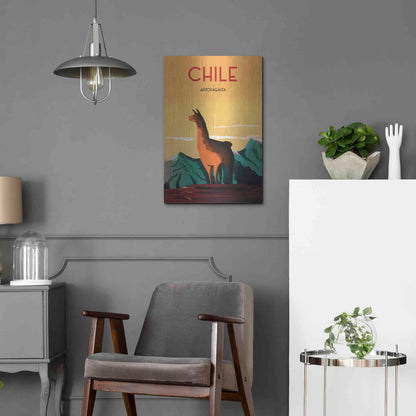 Luxe Metal Art 'Chile' by Omar Escalante, Metal Wall Art,16x24