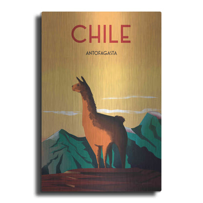 Luxe Metal Art 'Chile' by Omar Escalante, Metal Wall Art