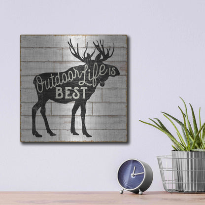 Luxe Metal Art 'Lake Lodge I' by Sue Schlabach, Metal Wall Art,12x12