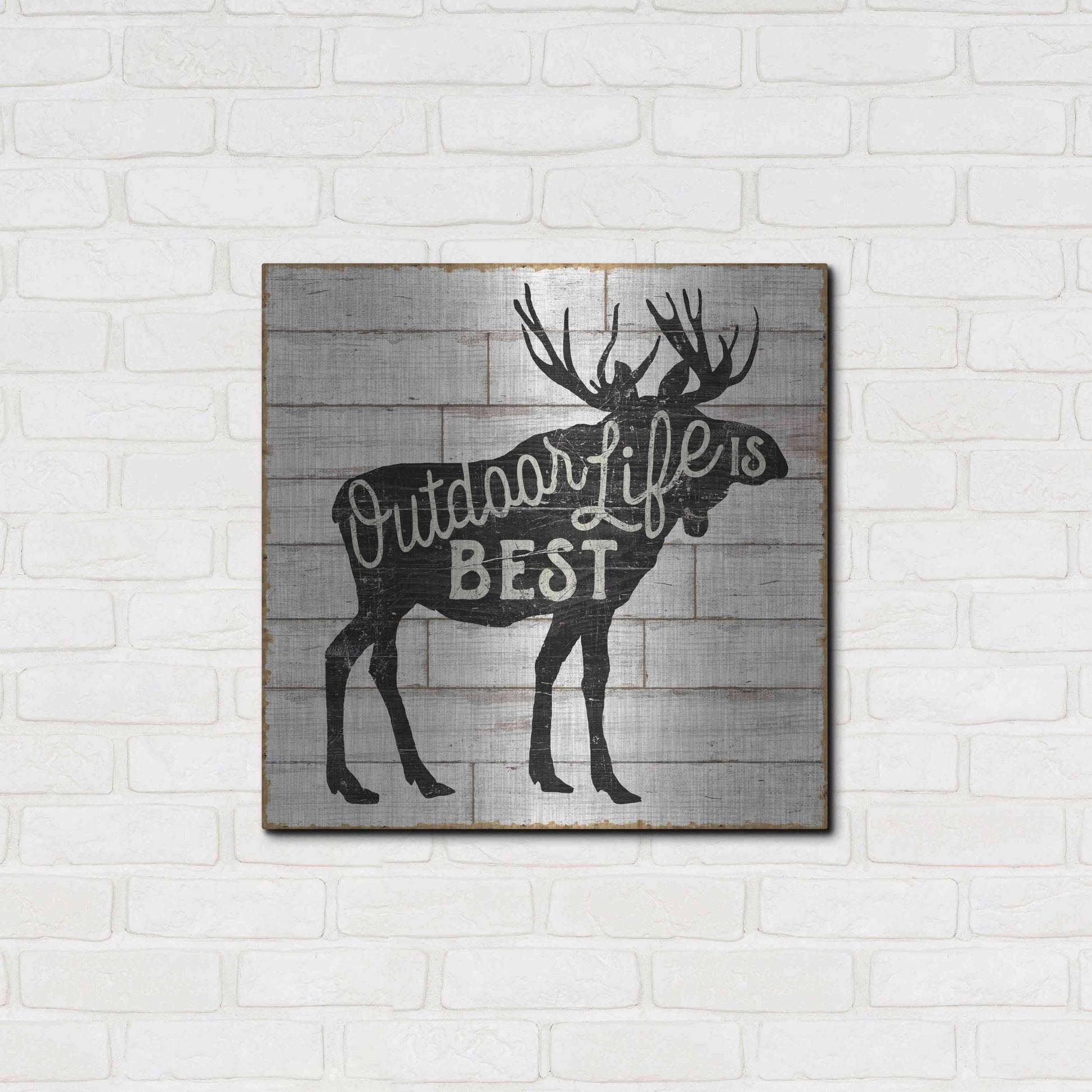 Luxe Metal Art 'Lake Lodge I' by Sue Schlabach, Metal Wall Art,24x24