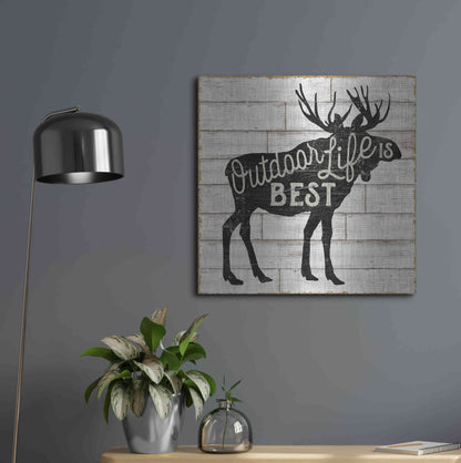 Luxe Metal Art 'Lake Lodge I' by Sue Schlabach, Metal Wall Art,24x24