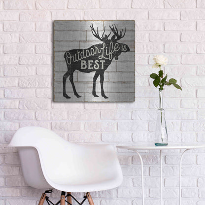 Luxe Metal Art 'Lake Lodge I' by Sue Schlabach, Metal Wall Art,24x24