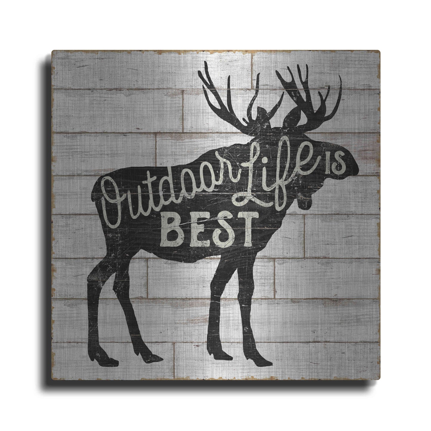 Luxe Metal Art 'Lake Lodge I' by Sue Schlabach, Metal Wall Art