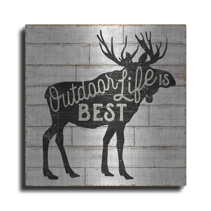 Luxe Metal Art 'Lake Lodge I' by Sue Schlabach, Metal Wall Art