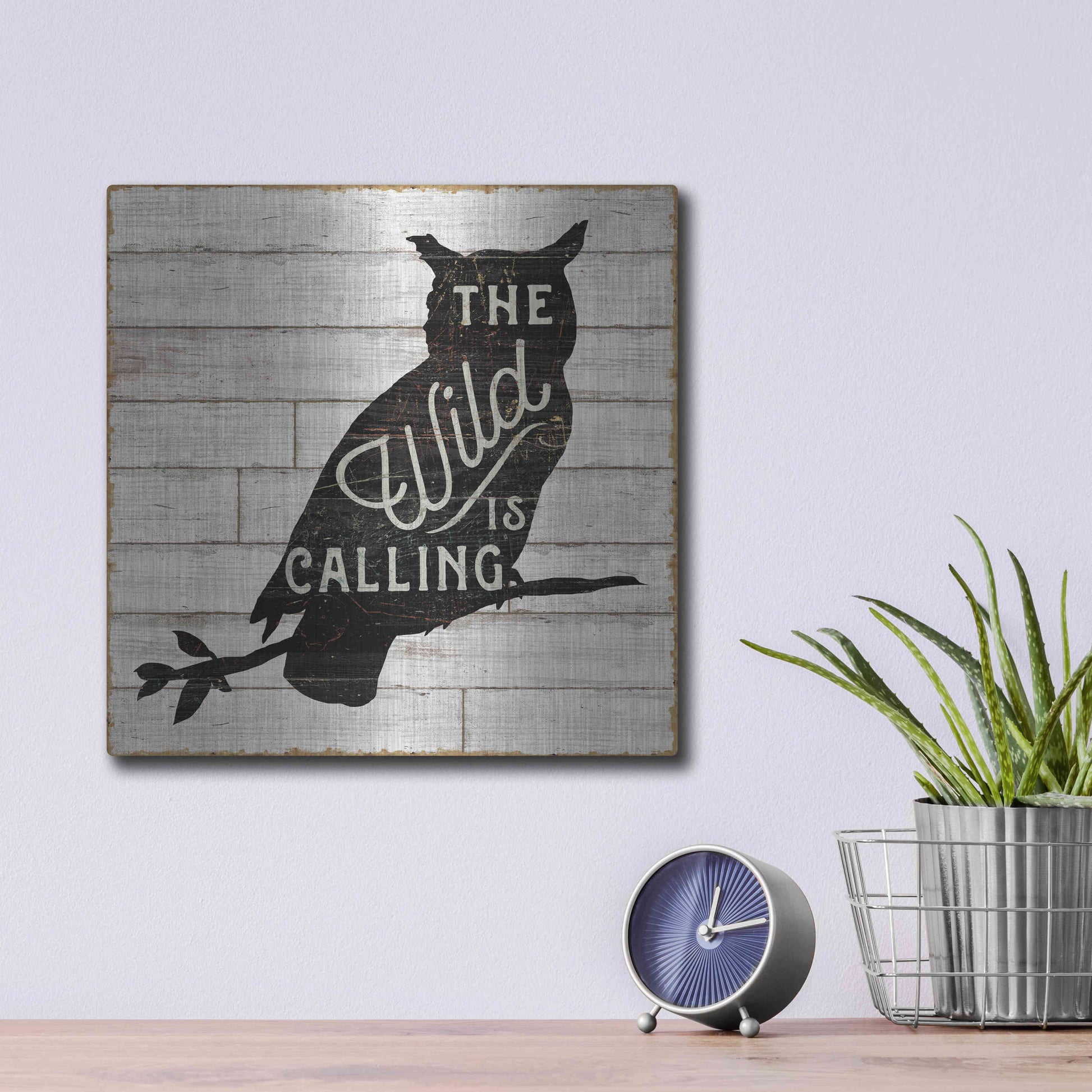 Luxe Metal Art 'Lake Lodge III' by Sue Schlabach, Metal Wall Art,12x12