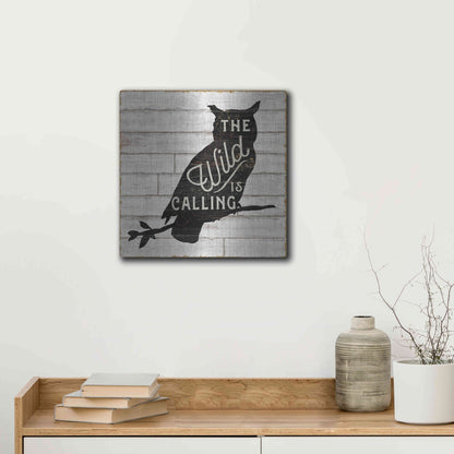 Luxe Metal Art 'Lake Lodge III' by Sue Schlabach, Metal Wall Art,12x12