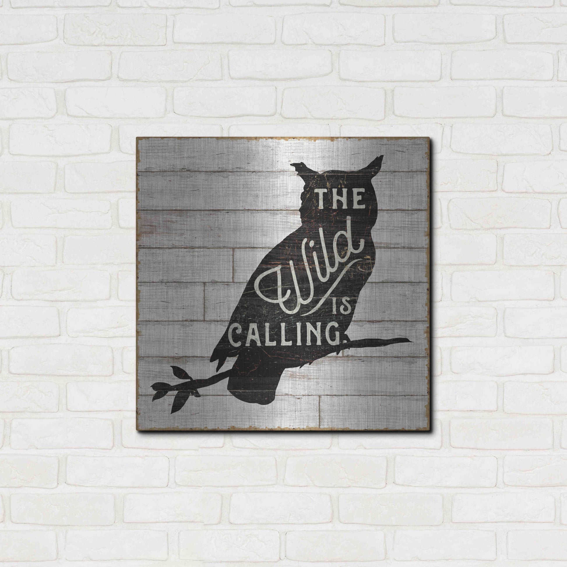 Luxe Metal Art 'Lake Lodge III' by Sue Schlabach, Metal Wall Art,24x24