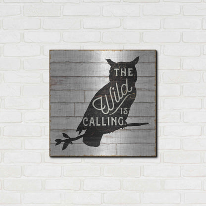 Luxe Metal Art 'Lake Lodge III' by Sue Schlabach, Metal Wall Art,24x24