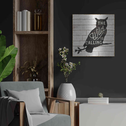 Luxe Metal Art 'Lake Lodge III' by Sue Schlabach, Metal Wall Art,24x24