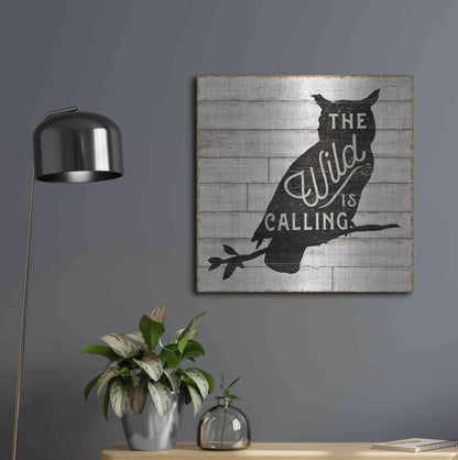 Luxe Metal Art 'Lake Lodge III' by Sue Schlabach, Metal Wall Art,24x24