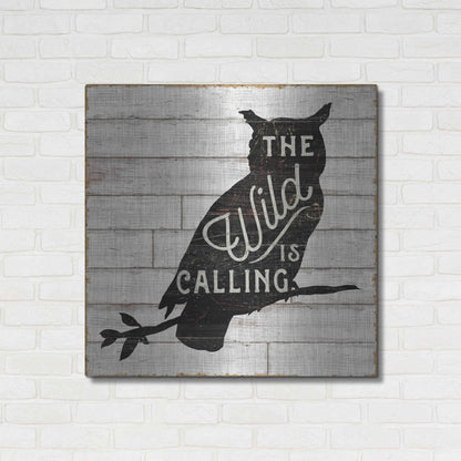 Luxe Metal Art 'Lake Lodge III' by Sue Schlabach, Metal Wall Art,36x36