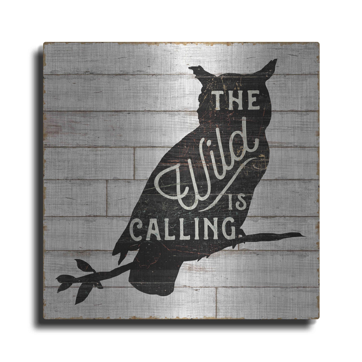 Luxe Metal Art 'Lake Lodge III' by Sue Schlabach, Metal Wall Art