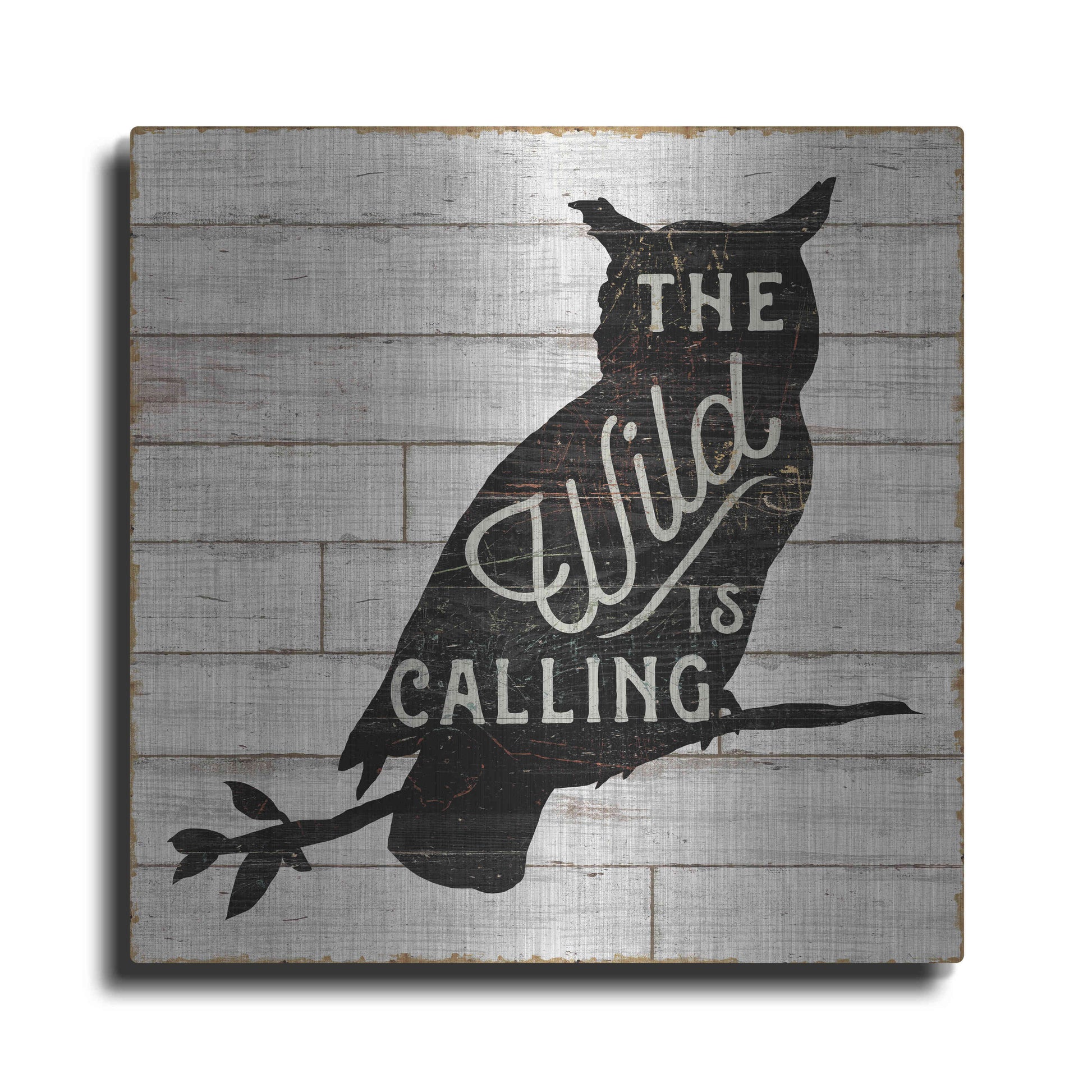 Luxe Metal Art 'Lake Lodge III' by Sue Schlabach, Metal Wall Art