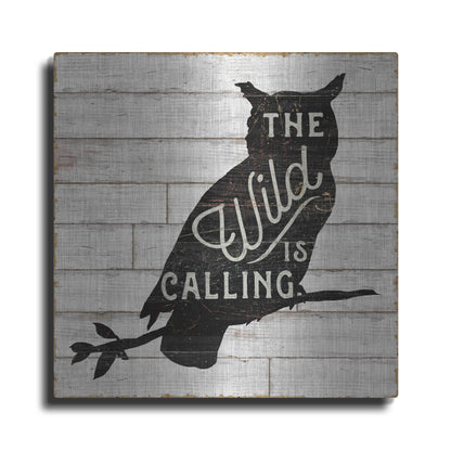 Luxe Metal Art 'Lake Lodge III' by Sue Schlabach, Metal Wall Art