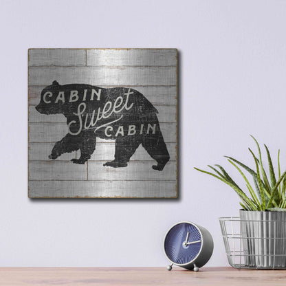 Luxe Metal Art 'Lake Lodge IV' by Sue Schlabach, Metal Wall Art,12x12