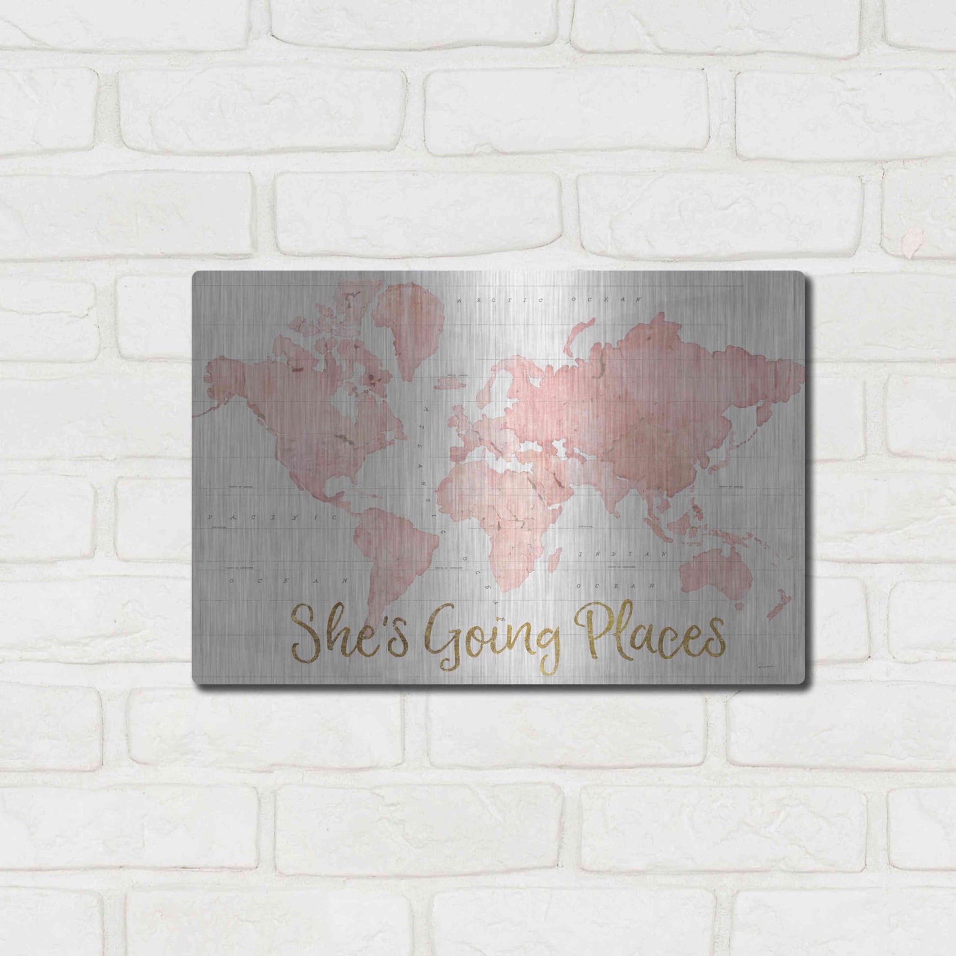 Luxe Metal Art 'Across the World Shes Going Places Pink' by Sue Schlabach, Metal Wall Art,16x12