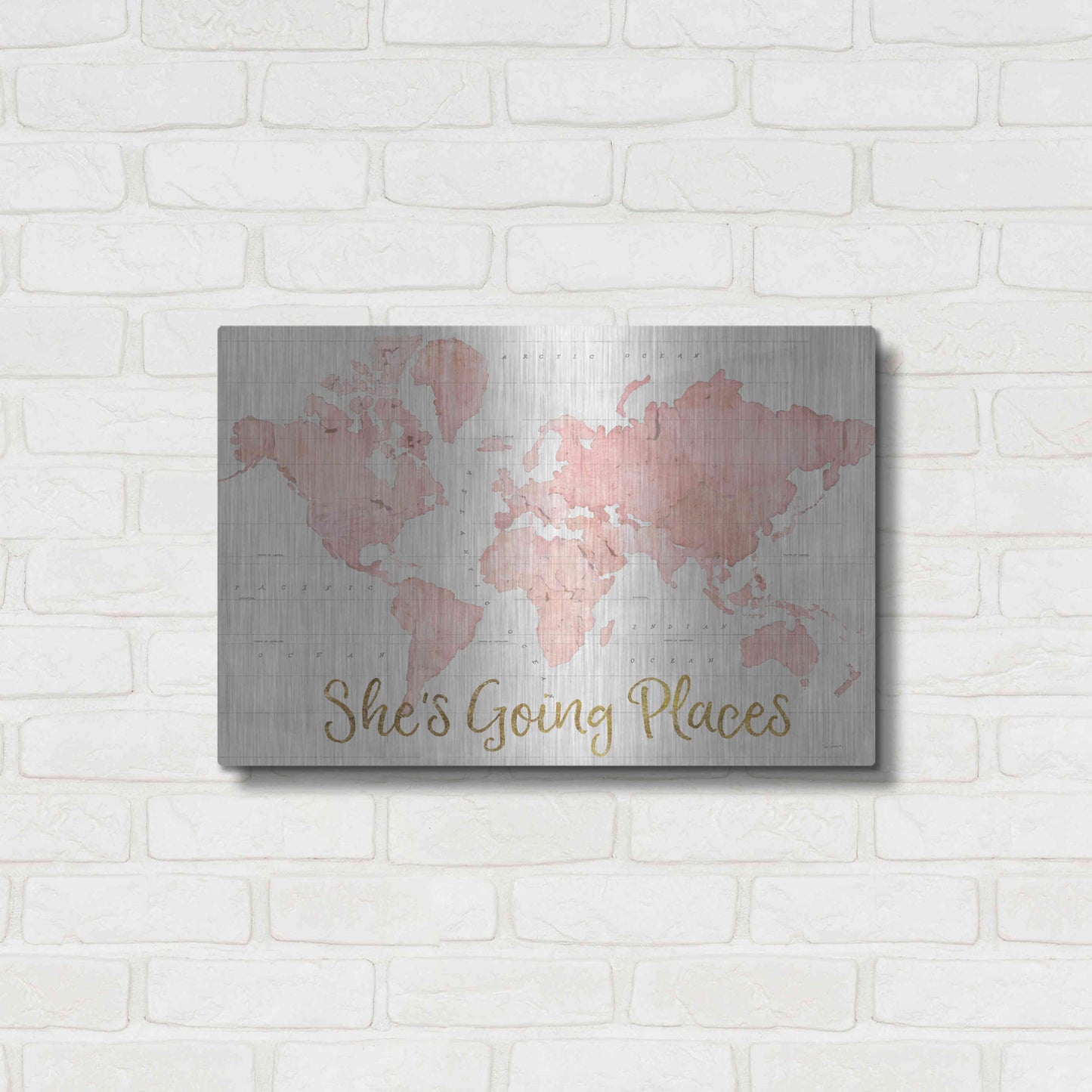 Luxe Metal Art 'Across the World Shes Going Places Pink' by Sue Schlabach, Metal Wall Art,24x16