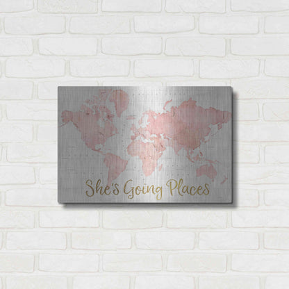 Luxe Metal Art 'Across the World Shes Going Places Pink' by Sue Schlabach, Metal Wall Art,24x16