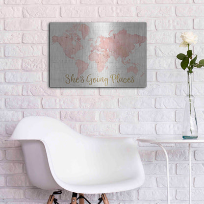 Luxe Metal Art 'Across the World Shes Going Places Pink' by Sue Schlabach, Metal Wall Art,24x16