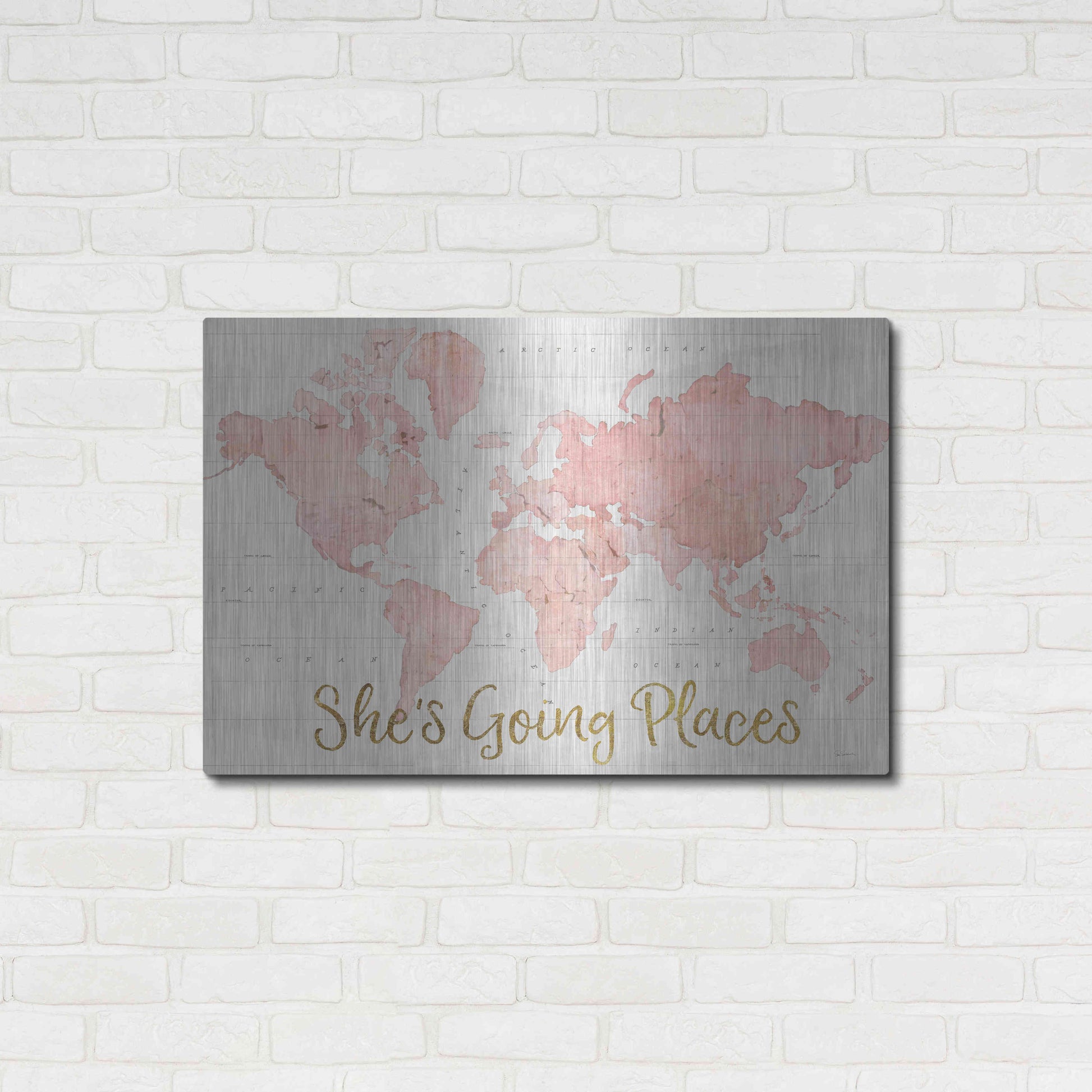 Luxe Metal Art 'Across the World Shes Going Places Pink' by Sue Schlabach, Metal Wall Art,36x24