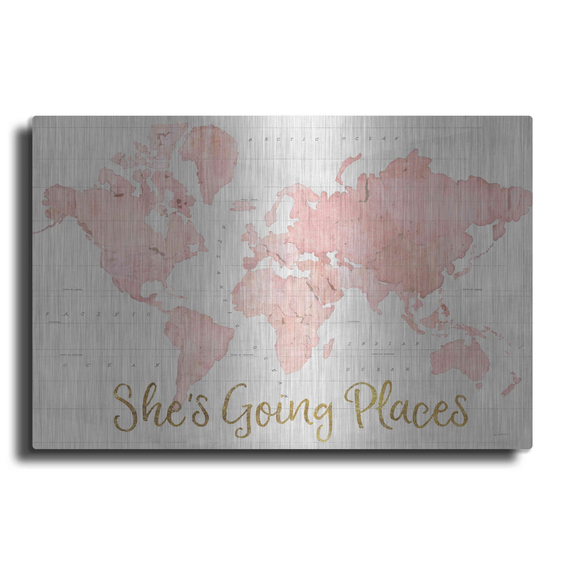 Luxe Metal Art 'Across the World Shes Going Places Pink' by Sue Schlabach, Metal Wall Art
