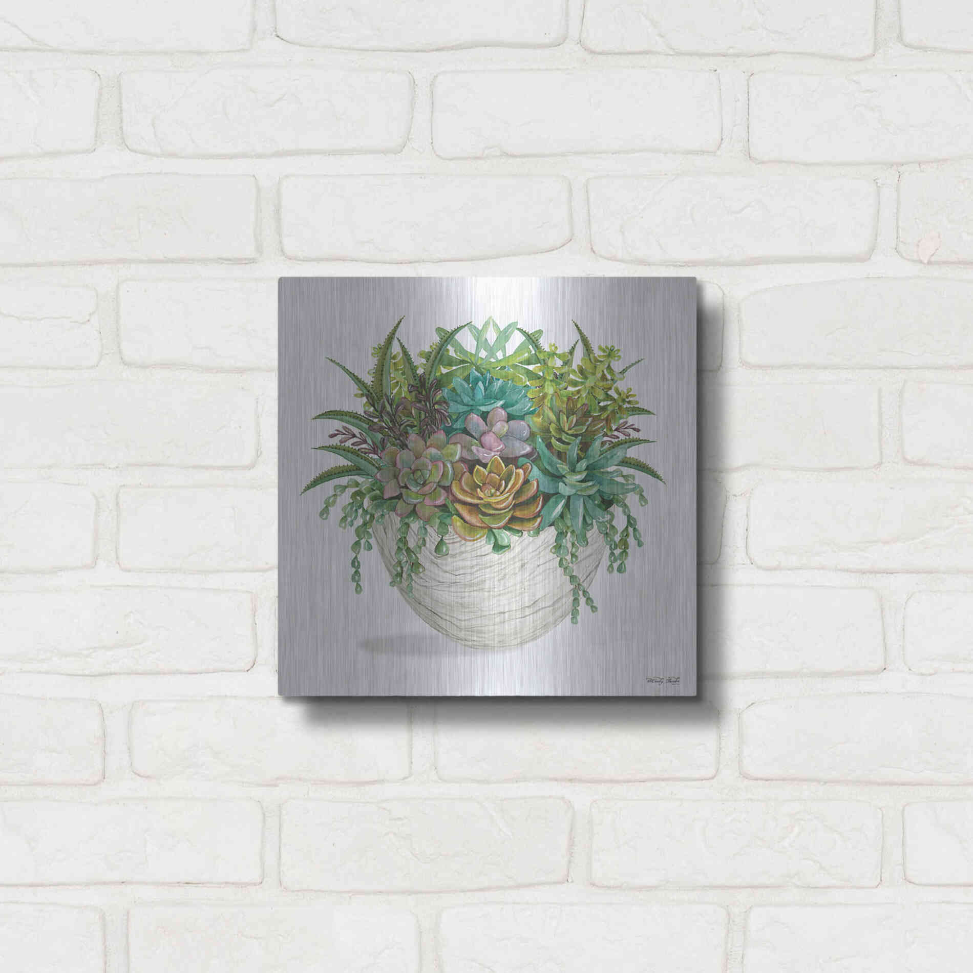 Luxe Metal Art 'White Wood Succulent II' by Cindy Jacobs, Metal Wall Art,12x12