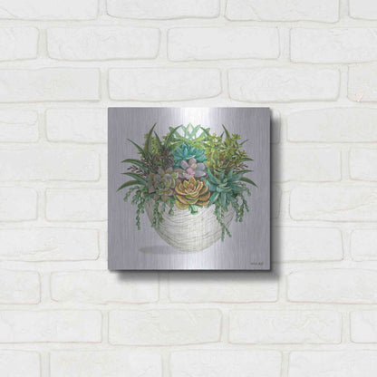 Luxe Metal Art 'White Wood Succulent II' by Cindy Jacobs, Metal Wall Art,12x12