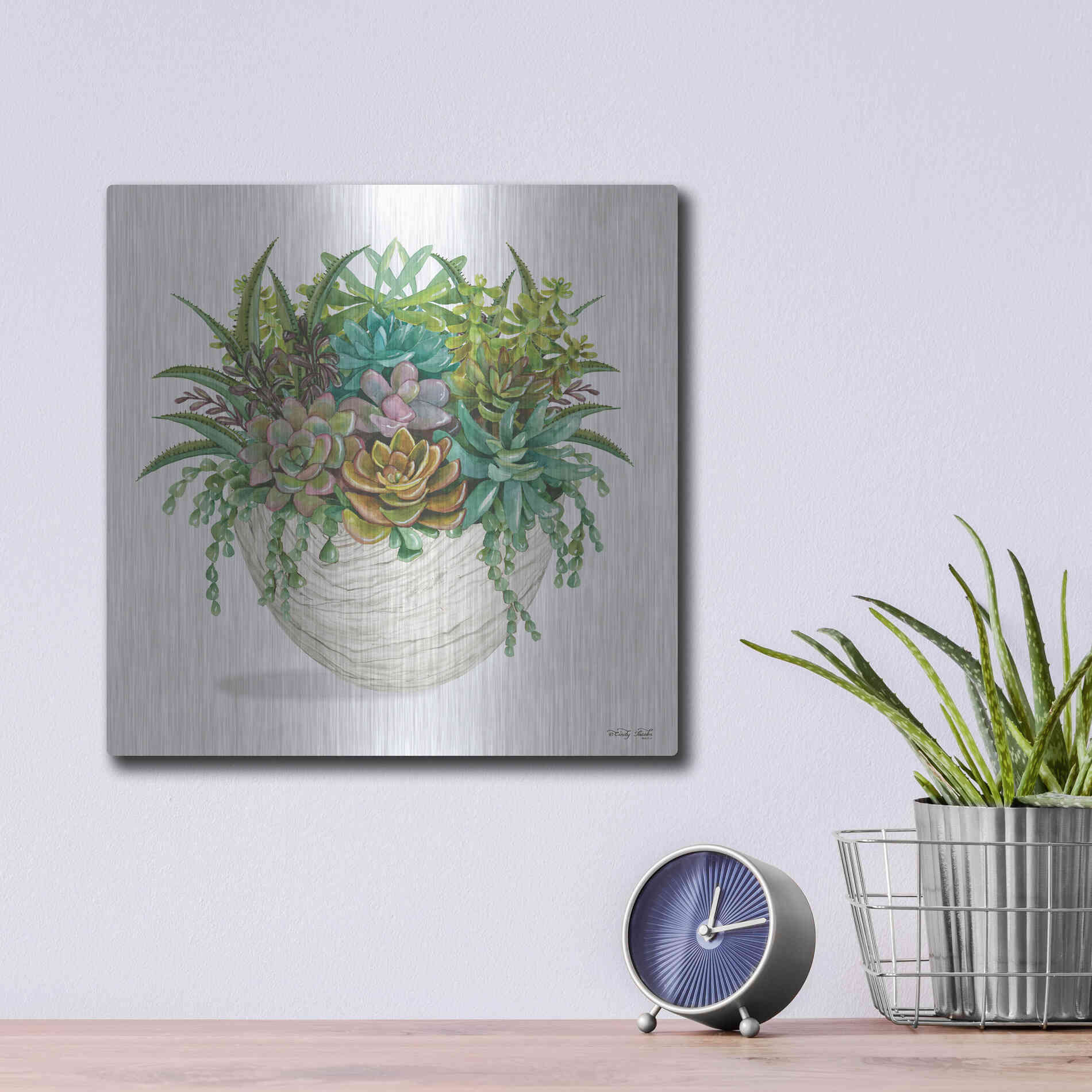 Luxe Metal Art 'White Wood Succulent II' by Cindy Jacobs, Metal Wall Art,12x12