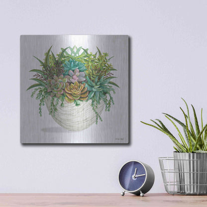 Luxe Metal Art 'White Wood Succulent II' by Cindy Jacobs, Metal Wall Art,12x12
