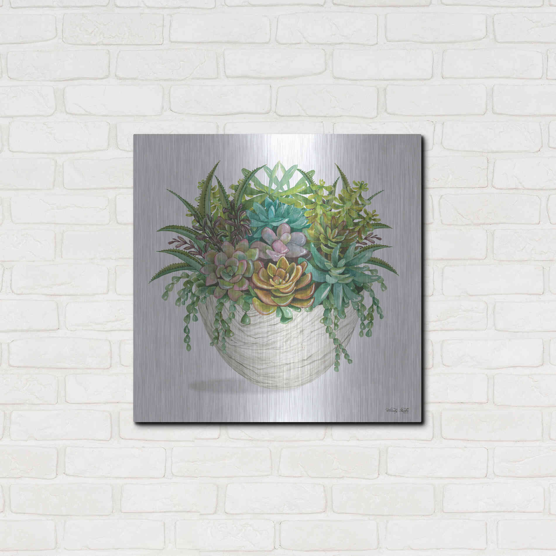 Luxe Metal Art 'White Wood Succulent II' by Cindy Jacobs, Metal Wall Art,24x24