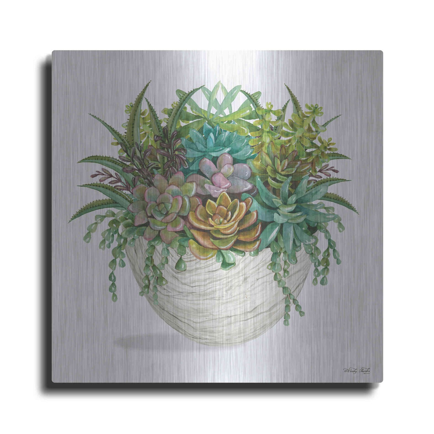 Luxe Metal Art 'White Wood Succulent II' by Cindy Jacobs, Metal Wall Art
