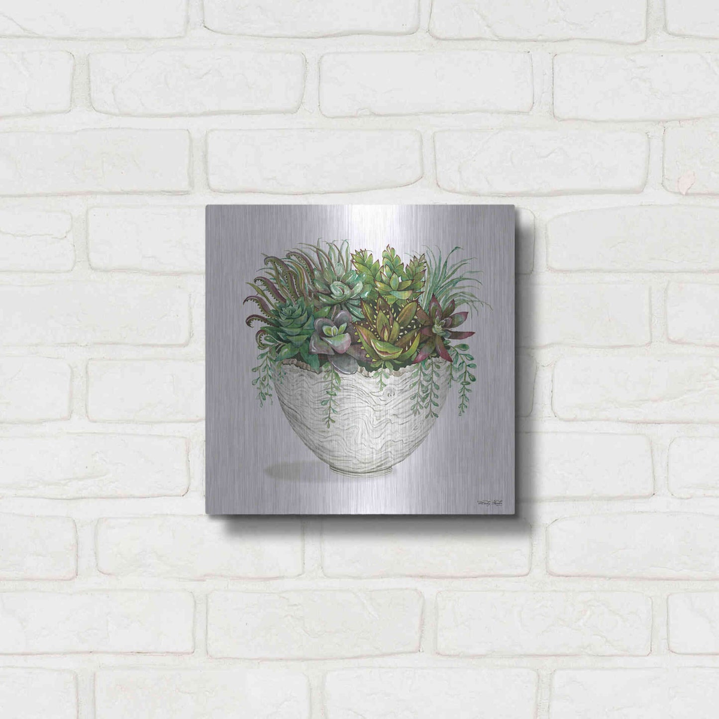 Luxe Metal Art 'White Wood Succulent III' by Cindy Jacobs, Metal Wall Art,12x12