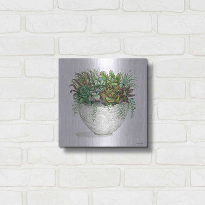 Luxe Metal Art 'White Wood Succulent III' by Cindy Jacobs, Metal Wall Art,12x12