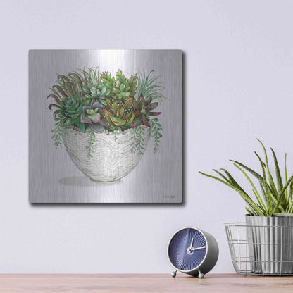 Luxe Metal Art 'White Wood Succulent III' by Cindy Jacobs, Metal Wall Art,12x12