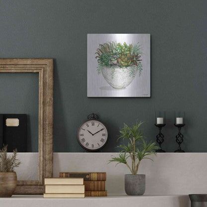 Luxe Metal Art 'White Wood Succulent III' by Cindy Jacobs, Metal Wall Art,12x12
