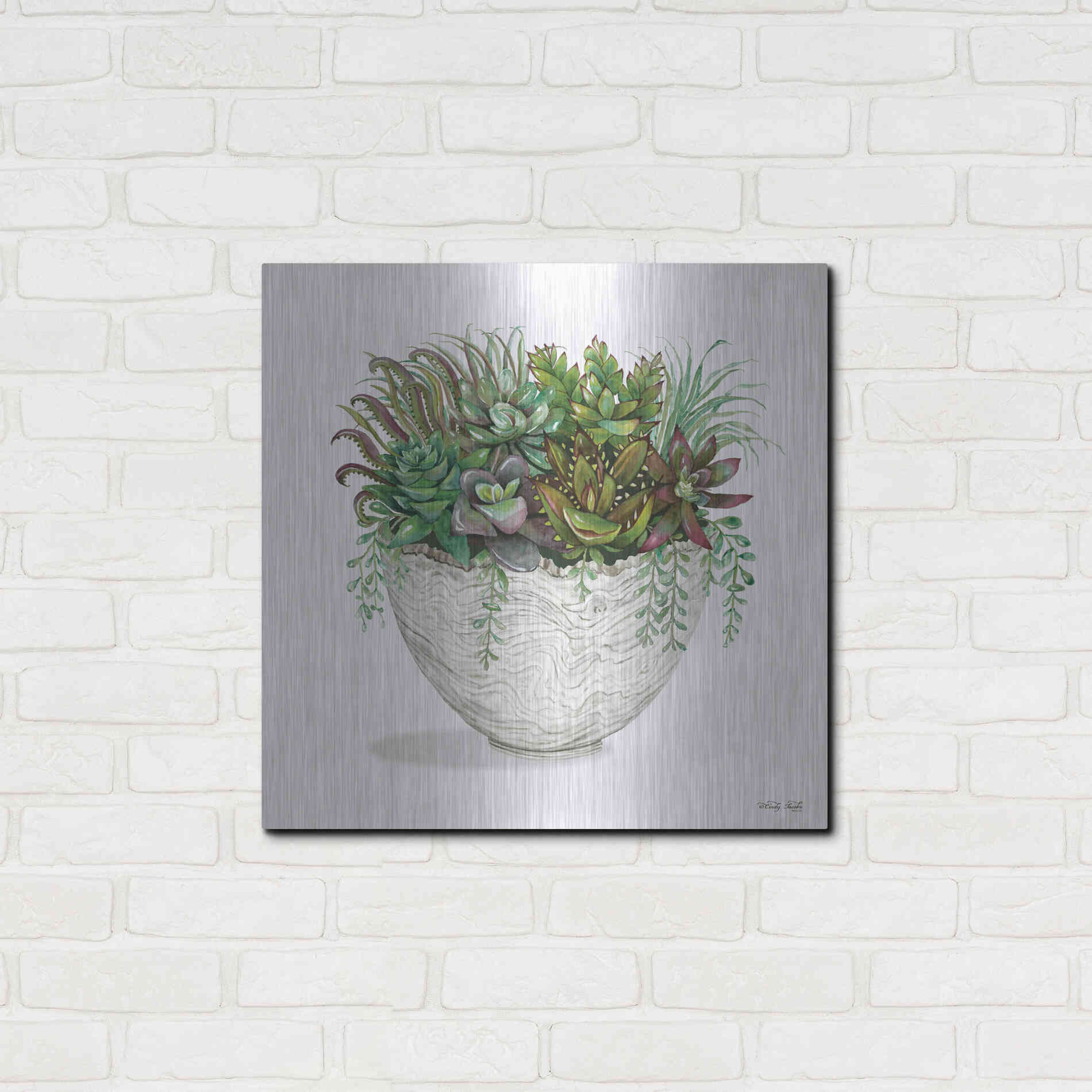 Luxe Metal Art 'White Wood Succulent III' by Cindy Jacobs, Metal Wall Art,24x24