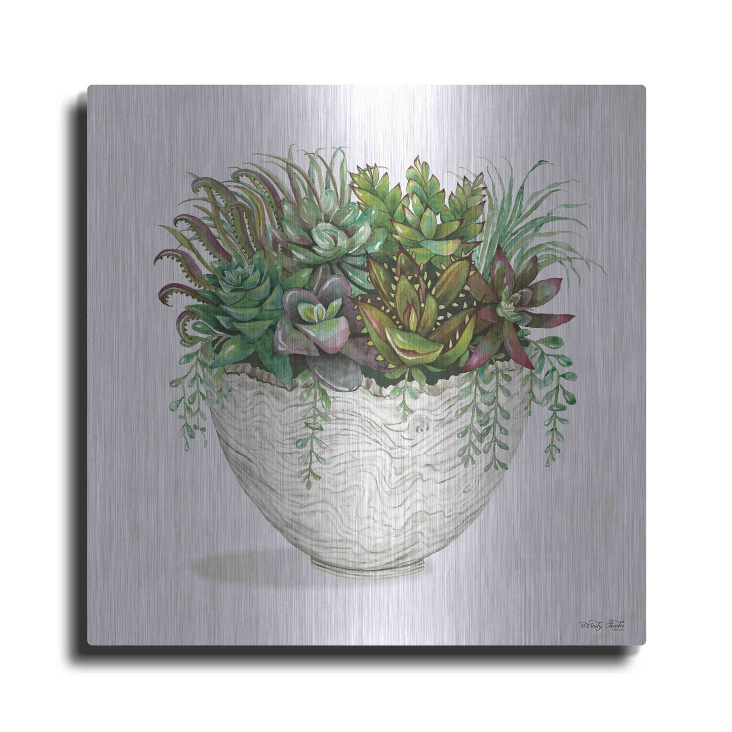 Luxe Metal Art 'White Wood Succulent III' by Cindy Jacobs, Metal Wall Art