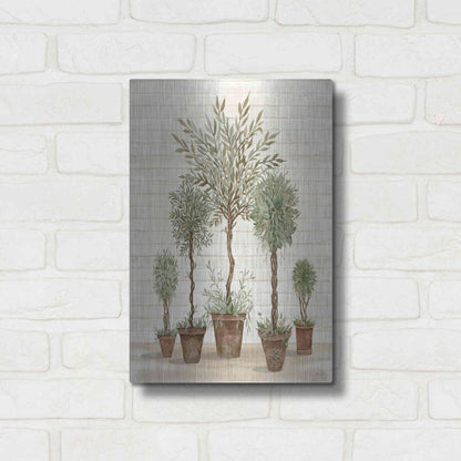 Luxe Metal Art 'Potted Tree Collection' by Cindy Jacobs, Metal Wall Art,12x16