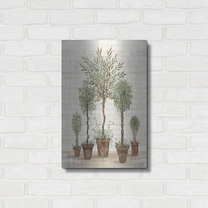 Luxe Metal Art 'Potted Tree Collection' by Cindy Jacobs, Metal Wall Art,16x24