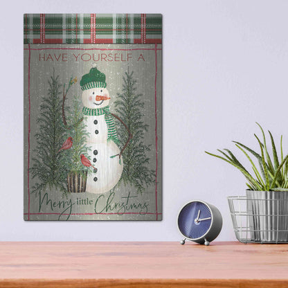 Luxe Metal Art 'Merry Little Christmas Snowman' by Cindy Jacobs, Metal Wall Art,12x16