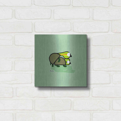 Luxe Metal Art 'Furtle' by Chuck Wimmer, Metal Wall Art,12x12