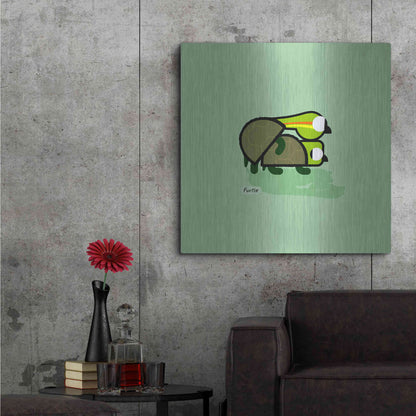 Luxe Metal Art 'Furtle' by Chuck Wimmer, Metal Wall Art,36x36