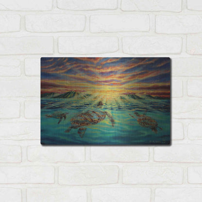 Luxe Metal Art 'Turtle Sunset' by Jan Kasparec, Metal Wall Art,16x12